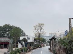 -大渡口区义渡公园