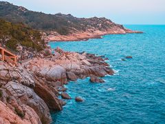 -广东惠东海龟国家级自然保护区