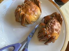 清水大闸蟹-王宝和酒家(黄浦店)