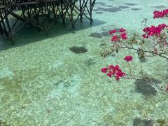 -卡帕莱度假村(西巴丹岛)