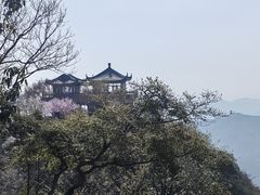 -莫干山风景区