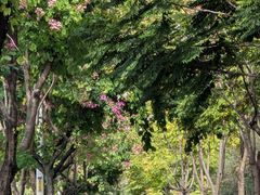 -福州大学(旗山校区)