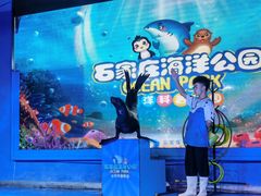 -石家庄海洋公园