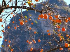 -于家石头村景区