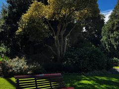 -墨尔本皇家植物园