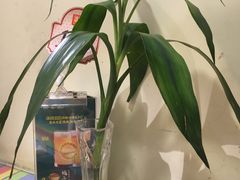 -滋味烤鱼(马北店)