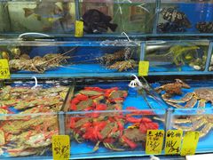 -黄沙水产交易市场
