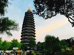 -红梅公园