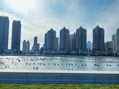 -星海广场