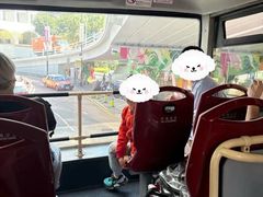 -Big Bus Tours 敞篷观光巴士