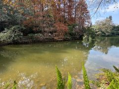 -深圳仙湖植物园