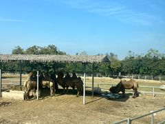 -西安秦岭野生动物园