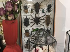 -植物学家的女儿(北马道巷店)