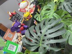 -TFC 纯泰拳馆MuayThai