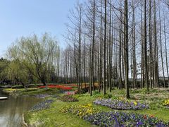 -东平国家森林公园