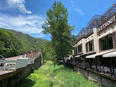 -Local泰莲庭(虹鳟鱼店)