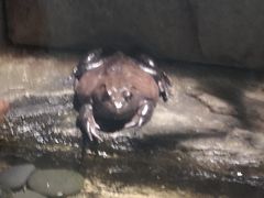 -青青世界