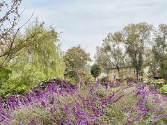 -四川大学(华西校区)