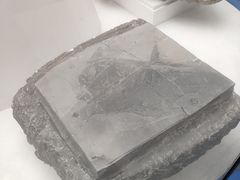 -金钉子远古世界景区