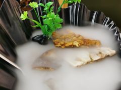 红乳牛肝菌-名善山珍·野生菌汤锅(文殊院店)