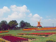 -杭州湾海上花田景区