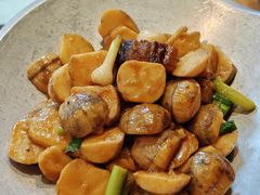 茨菇焖腊肉-凤阁楼果木烧鹅(鹤山陈山店)