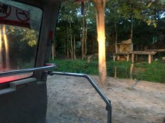 -清迈夜间动物园