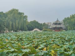 -莲池书院博物馆