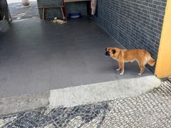 -会龙寺