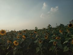 -福州人铭小吃