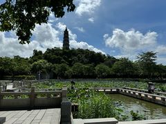 -顺峰山公园