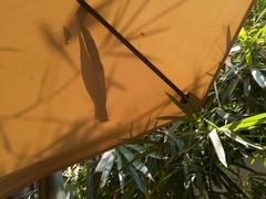 -时光花园(白鹭洲店)