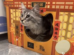 -美联众合爱康动物医院•复杂内科•肿瘤科•牙科•腔镜诊疗中心