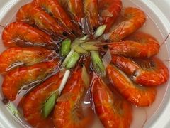 -丁老爷子苏香圆