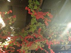 -味舵主重庆火锅(邓尉路店)