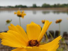 -梁鸿国家湿地公园