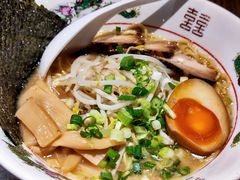-纪州豚骨酱油拉面(锦延路店)