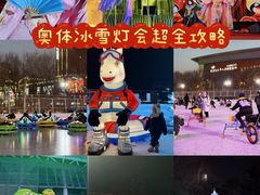 -沈阳奥体冰雪嘉年华