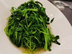 清炒鸡毛菜-徐记海鲜(明德门店)
