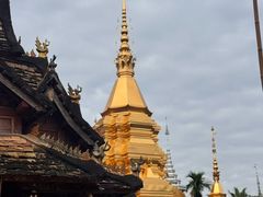 -西双版纳傣族园