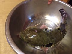 iphone_upload_pic-天正河鲀·河豚亭(大连店)