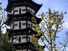 -天寿寺塔院