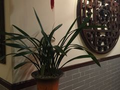 -山水茶艺馆·点心粤菜·30年老字号