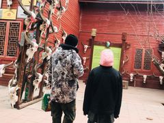-呀路古热带植物园