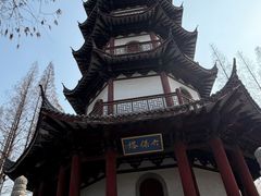 -桃花岛公园