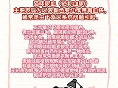 -瑞派天使宠物医院·神经外科·骨科·核磁CT(洛川中路店)