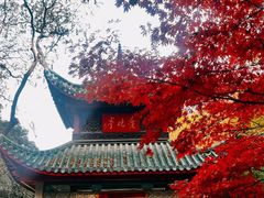 -岳麓山风景名胜区