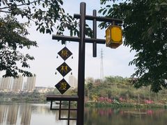 -重庆彩云湖湿地公园