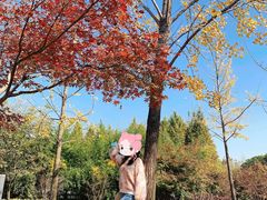 -武汉园博园(武汉自然博物馆)