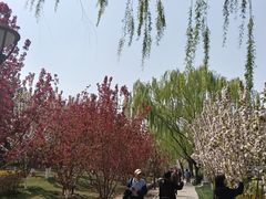 -元大都城垣遗址公园